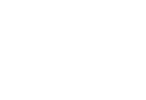 Ferro e Aço
